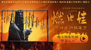 风间由美电影在线
